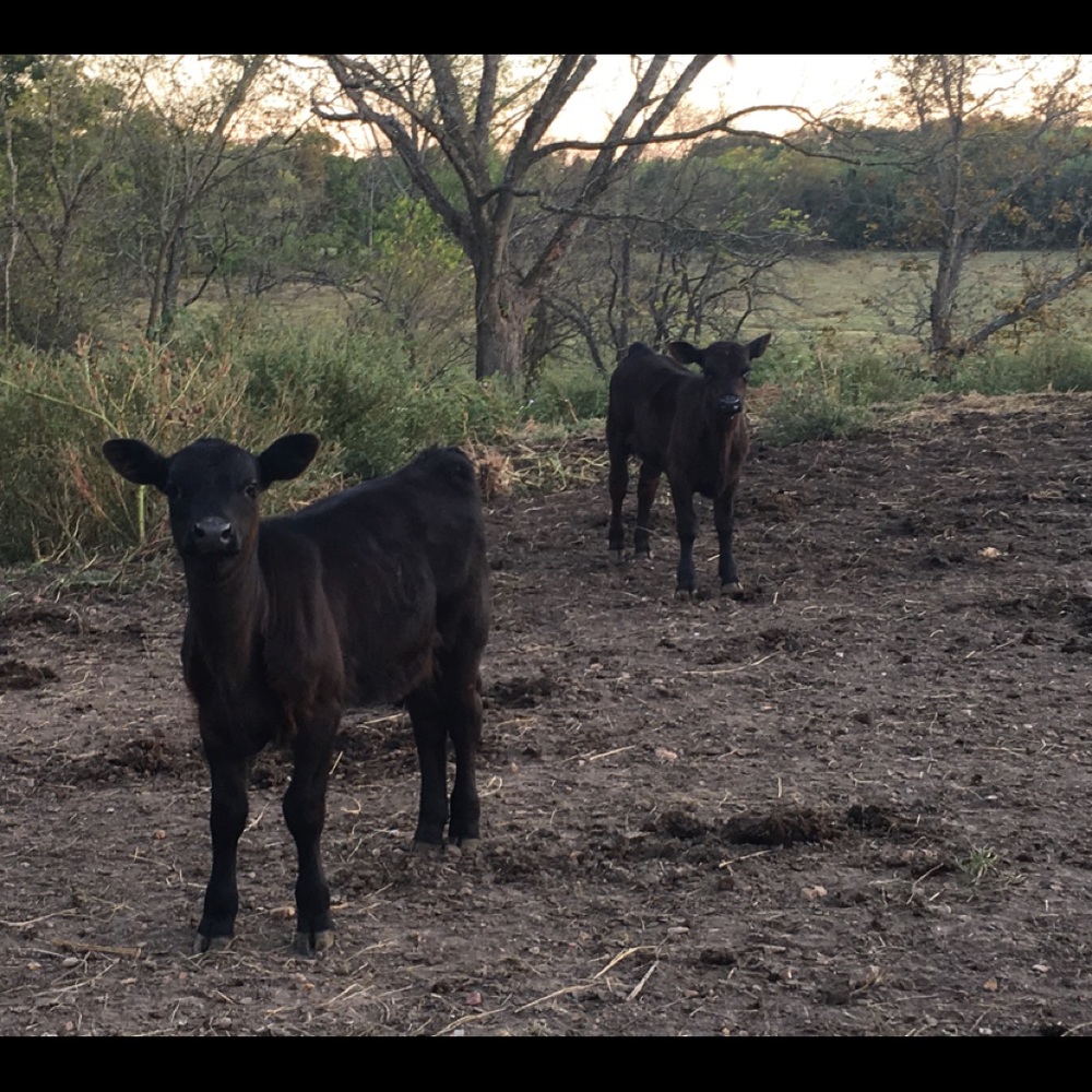 Meet your Posher, Kearstin